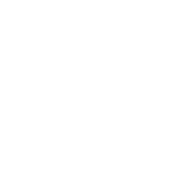 To bridge the talent gap in the freight forwarding industry by providing transformative learning experiences that cultivate future leaders and specialists.